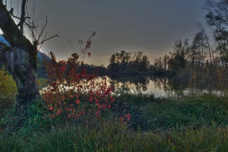 Bolle di Magadino (CH)